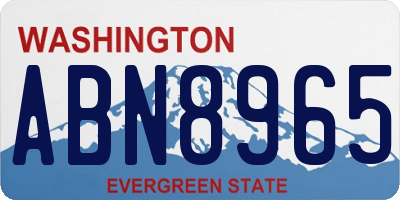 WA license plate ABN8965