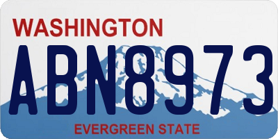 WA license plate ABN8973