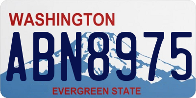 WA license plate ABN8975