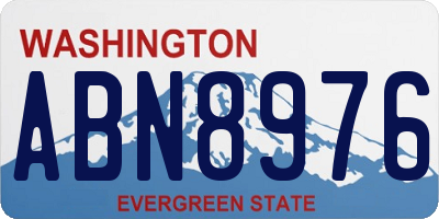 WA license plate ABN8976