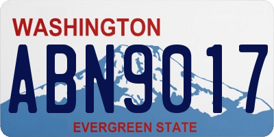 WA license plate ABN9017