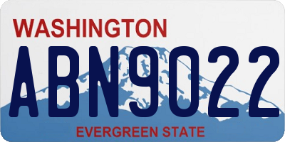 WA license plate ABN9022