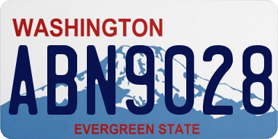 WA license plate ABN9028