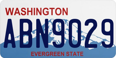 WA license plate ABN9029