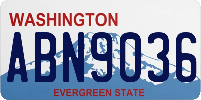 WA license plate ABN9036