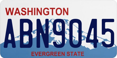 WA license plate ABN9045