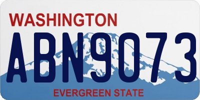 WA license plate ABN9073