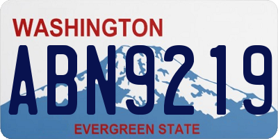 WA license plate ABN9219
