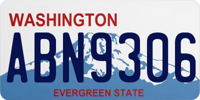 WA license plate ABN9306