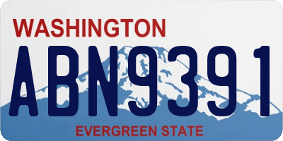 WA license plate ABN9391