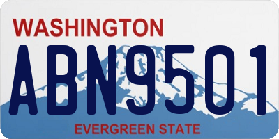 WA license plate ABN9501
