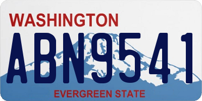 WA license plate ABN9541