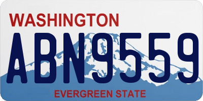 WA license plate ABN9559