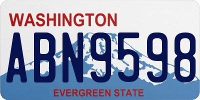 WA license plate ABN9598