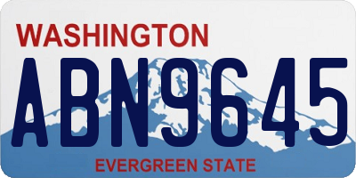 WA license plate ABN9645