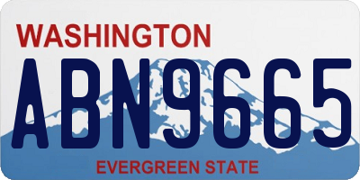 WA license plate ABN9665