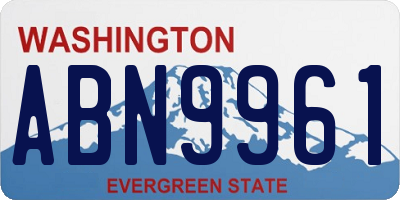 WA license plate ABN9961