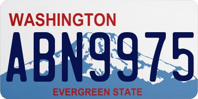WA license plate ABN9975