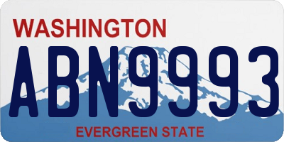 WA license plate ABN9993