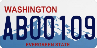 WA license plate ABO0109
