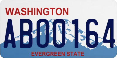 WA license plate ABO0164