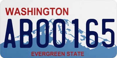 WA license plate ABO0165