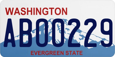 WA license plate ABO0229