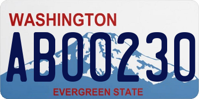 WA license plate ABO0230