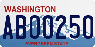 WA license plate ABO0250