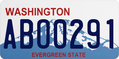 WA license plate ABO0291