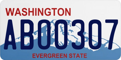 WA license plate ABO0307
