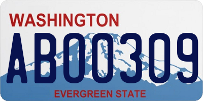 WA license plate ABO0309