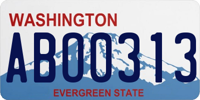 WA license plate ABO0313