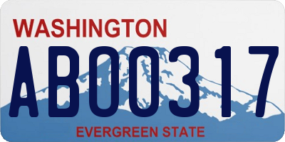 WA license plate ABO0317