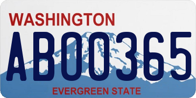 WA license plate ABO0365