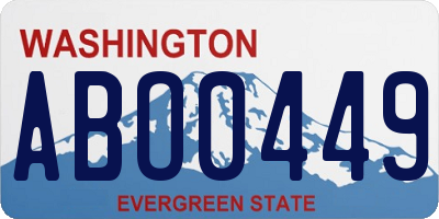 WA license plate ABO0449