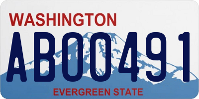 WA license plate ABO0491
