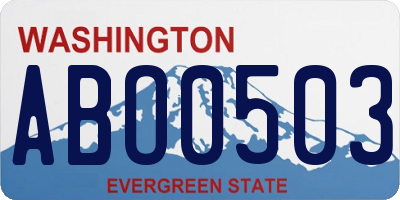 WA license plate ABO0503