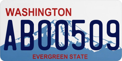 WA license plate ABO0509