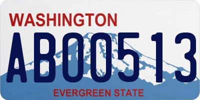 WA license plate ABO0513