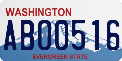 WA license plate ABO0516