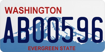 WA license plate ABO0596