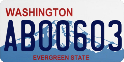 WA license plate ABO0603