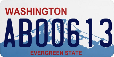 WA license plate ABO0613
