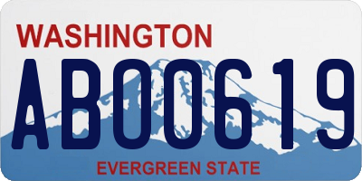 WA license plate ABO0619