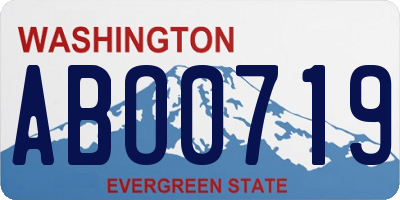 WA license plate ABO0719