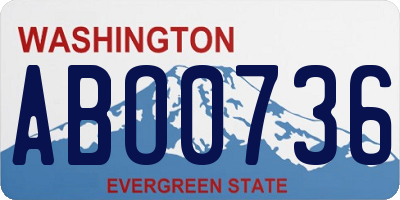 WA license plate ABO0736
