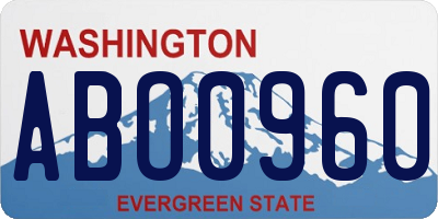 WA license plate ABO0960