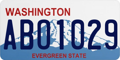 WA license plate ABO1029