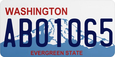WA license plate ABO1065